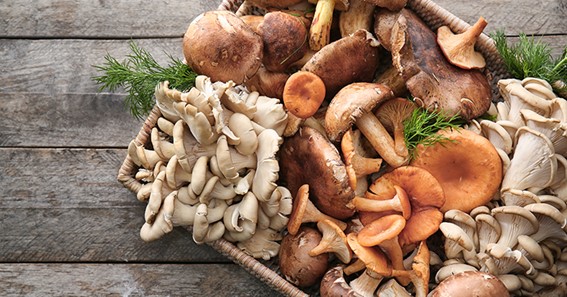 5 Reasons You Should Opt For Magic Mushroom Delivery In Burnaby