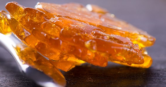 How Is Shatter Different From Other Marijuana Extracts?