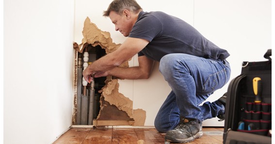 Find a Water Damage Cleanup Professional Near Vancouver