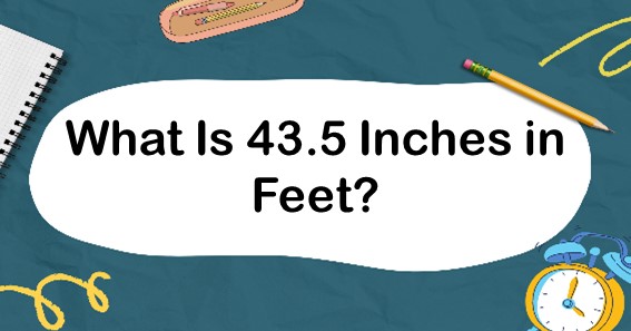 What Is 43.5 Inches in Feet