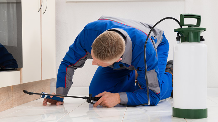 4 Tips for Managing a Pest Control Business