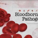 Everything to Know About Bloodborne Pathogens Training for School Personnel
