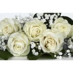 A Bouquet of Roses is the Timeless Symbol of Love and Beauty