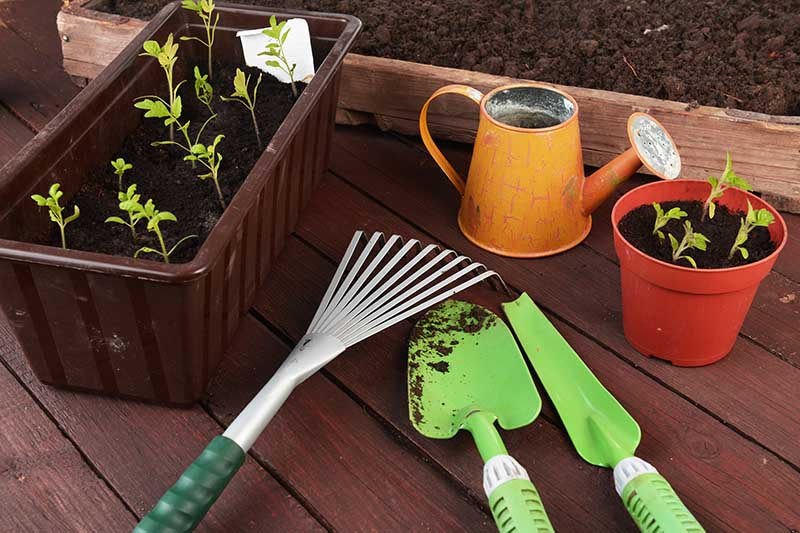 Items Required For a Gardening Starter Kit