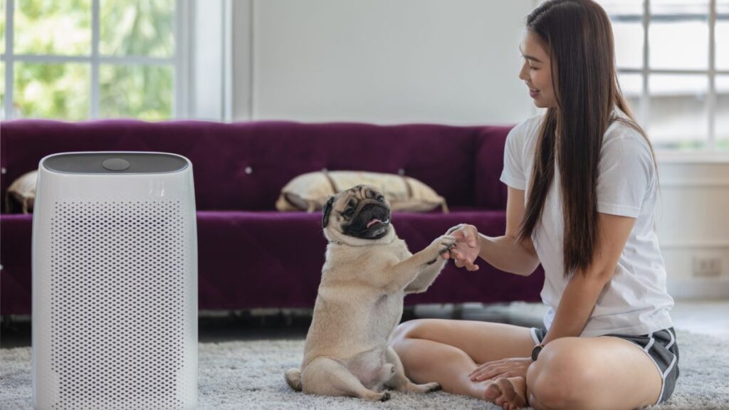 5 Facts About Air Purifiers