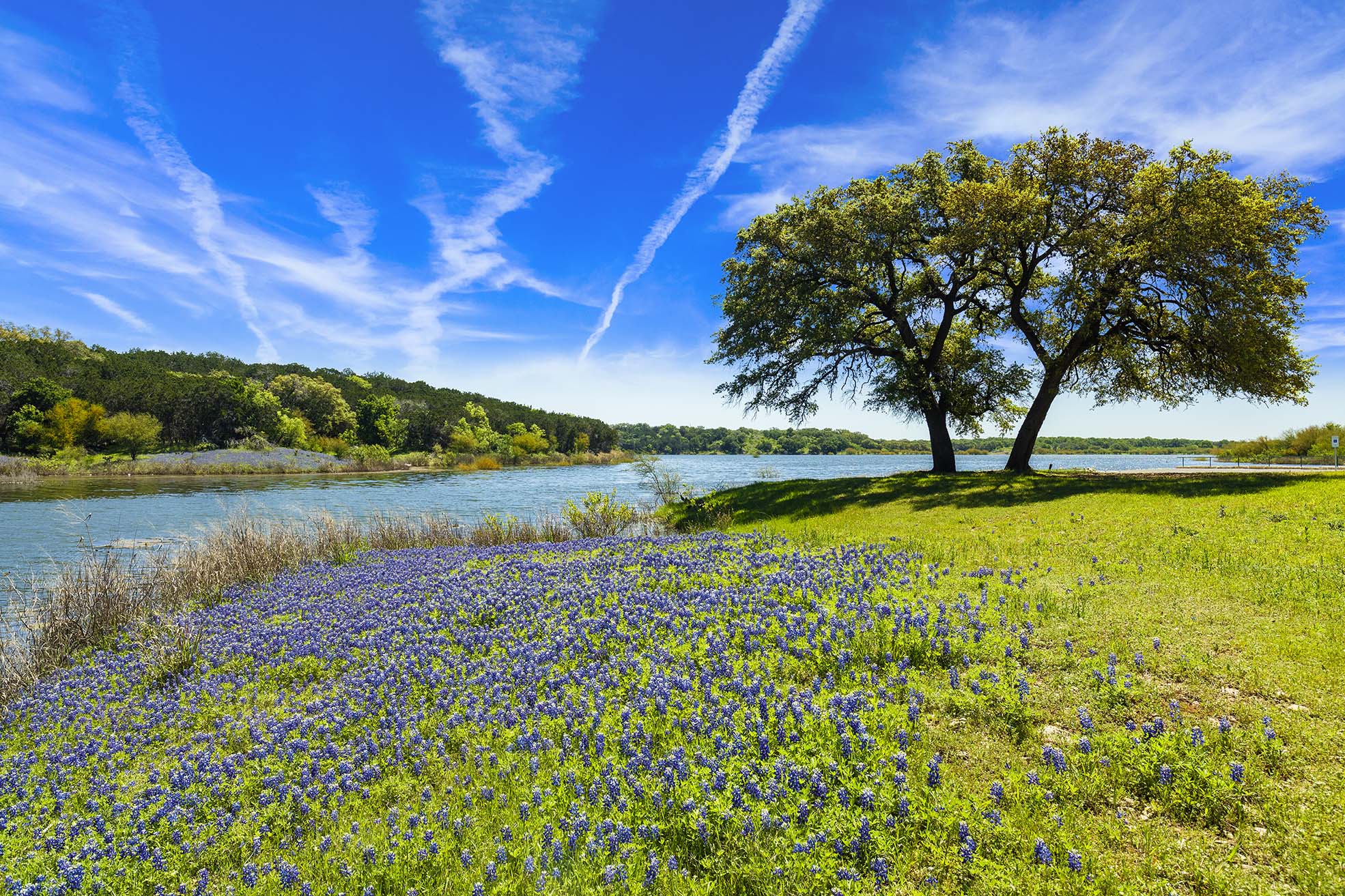 Here's Why You Should Buy Land In Texas