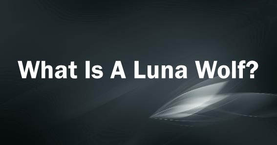 what is a luna wolf
