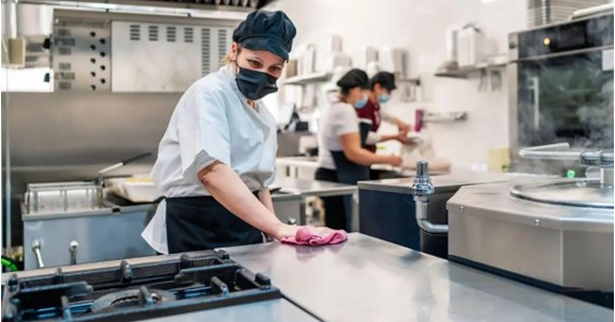 Pest Control and Food Safety: Keeping Your Kitchen Free of Contamination 