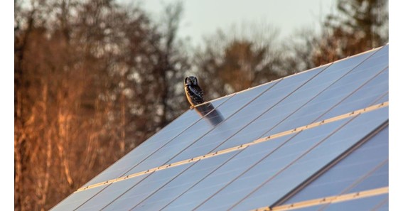 How to Install Solar Roofing for Your Home