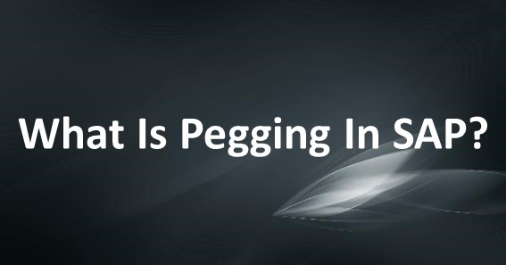 What Is Pegging In SAP